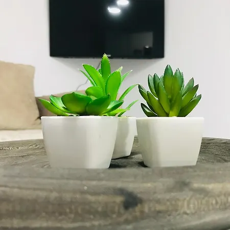 Apartment Koli *